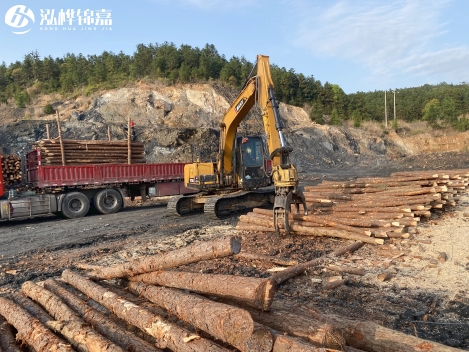 松木樁批發價格是多少？