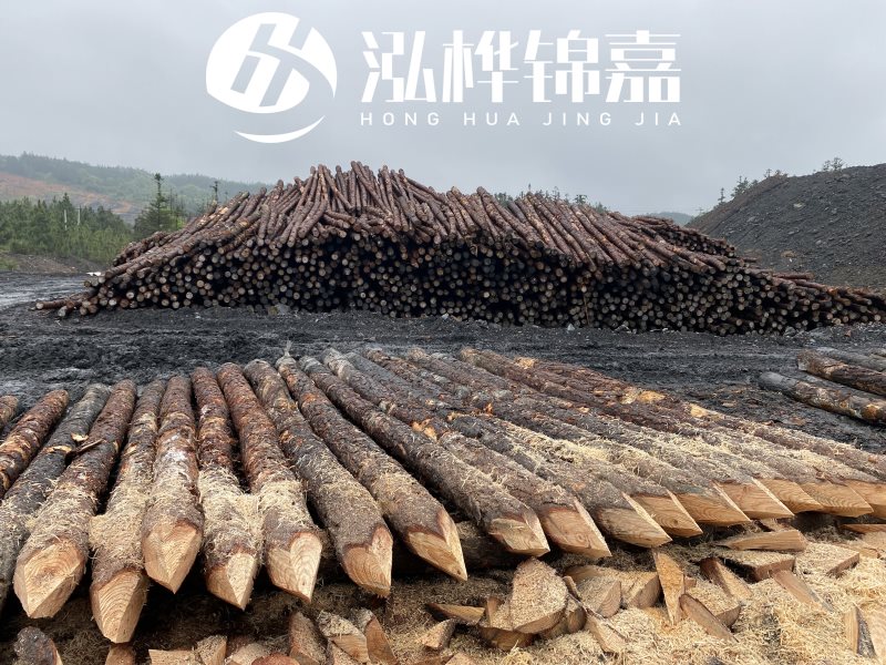 6米長松木樁有哪些作用，多少錢一根？