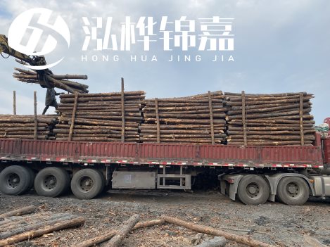 打樁木材為何首選松木？松木樁應該怎么打樁施工