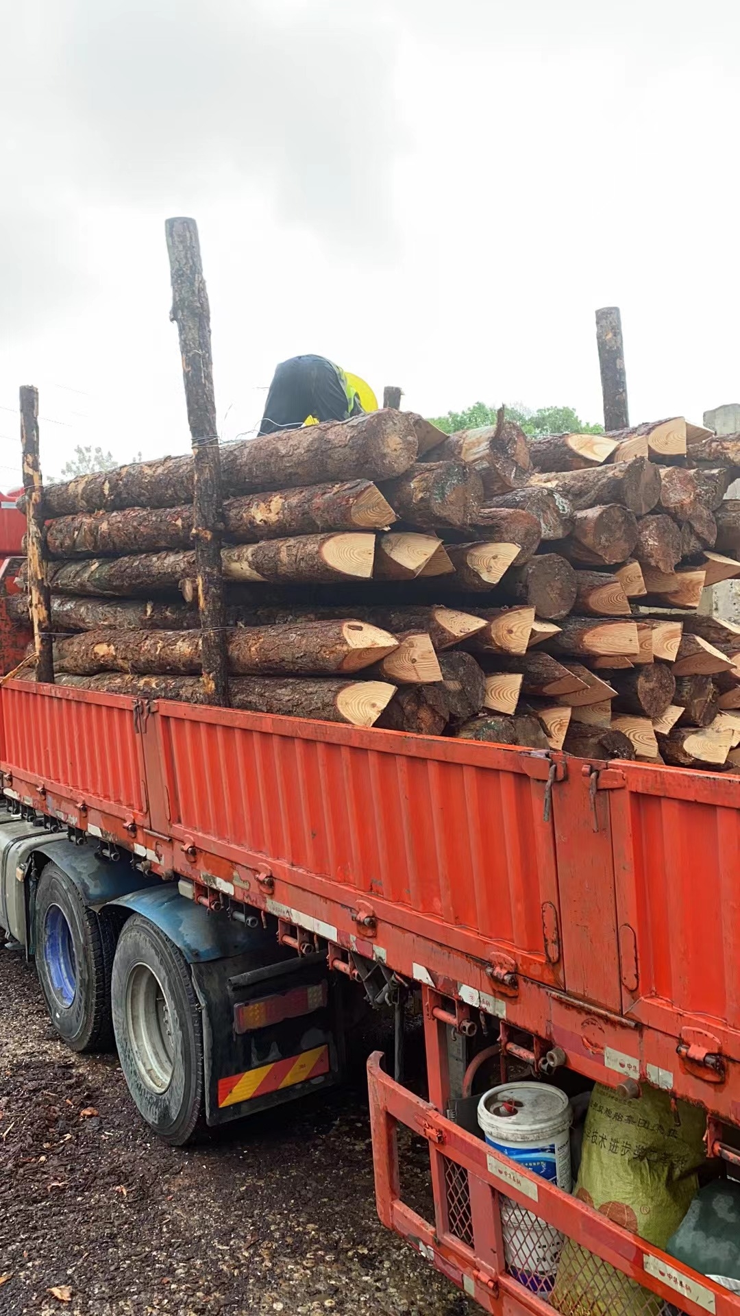 松木樁新手必備!快速掌握規(guī)范和要求