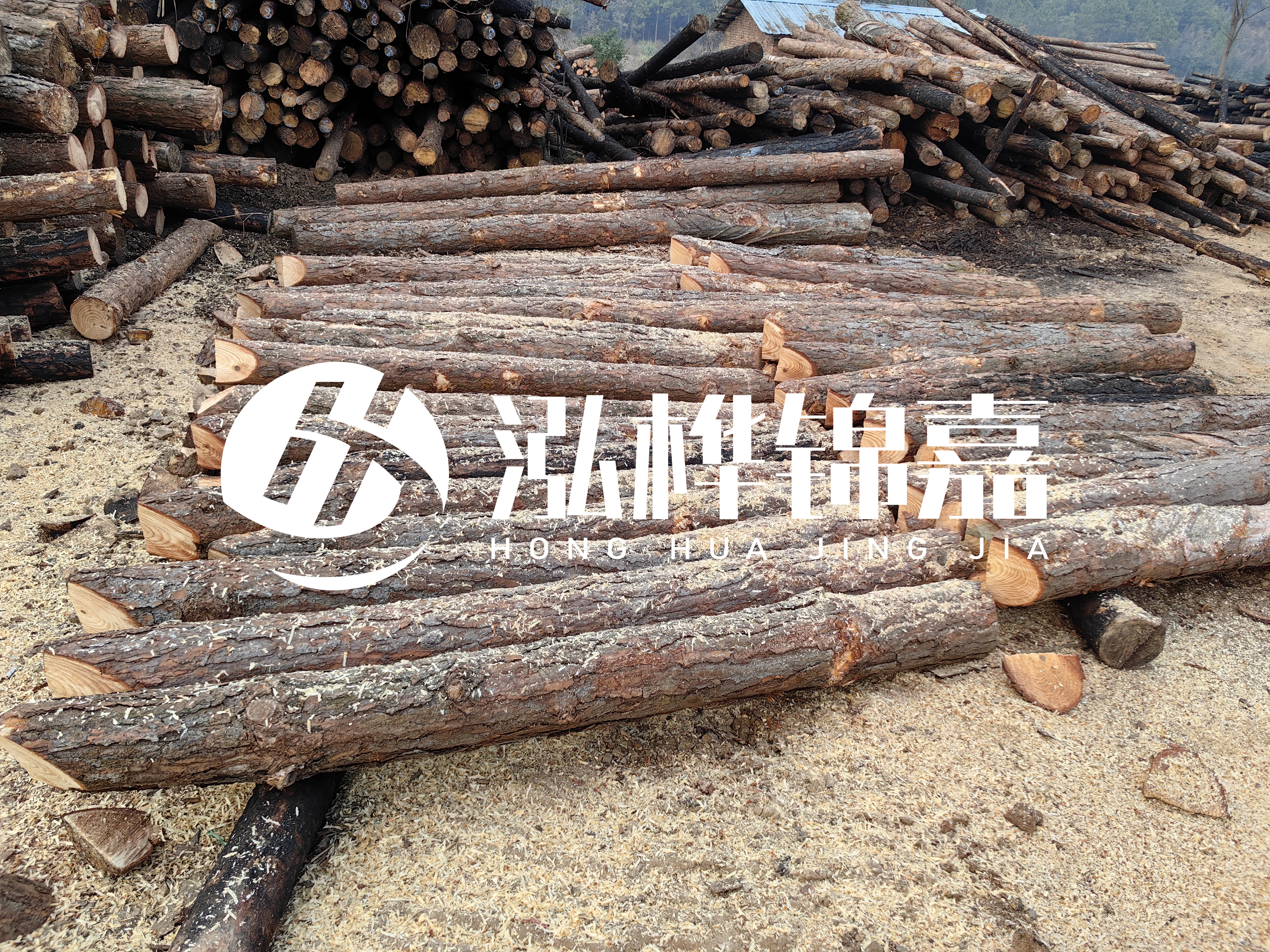 河道打樁木重復(fù)利用嗎?