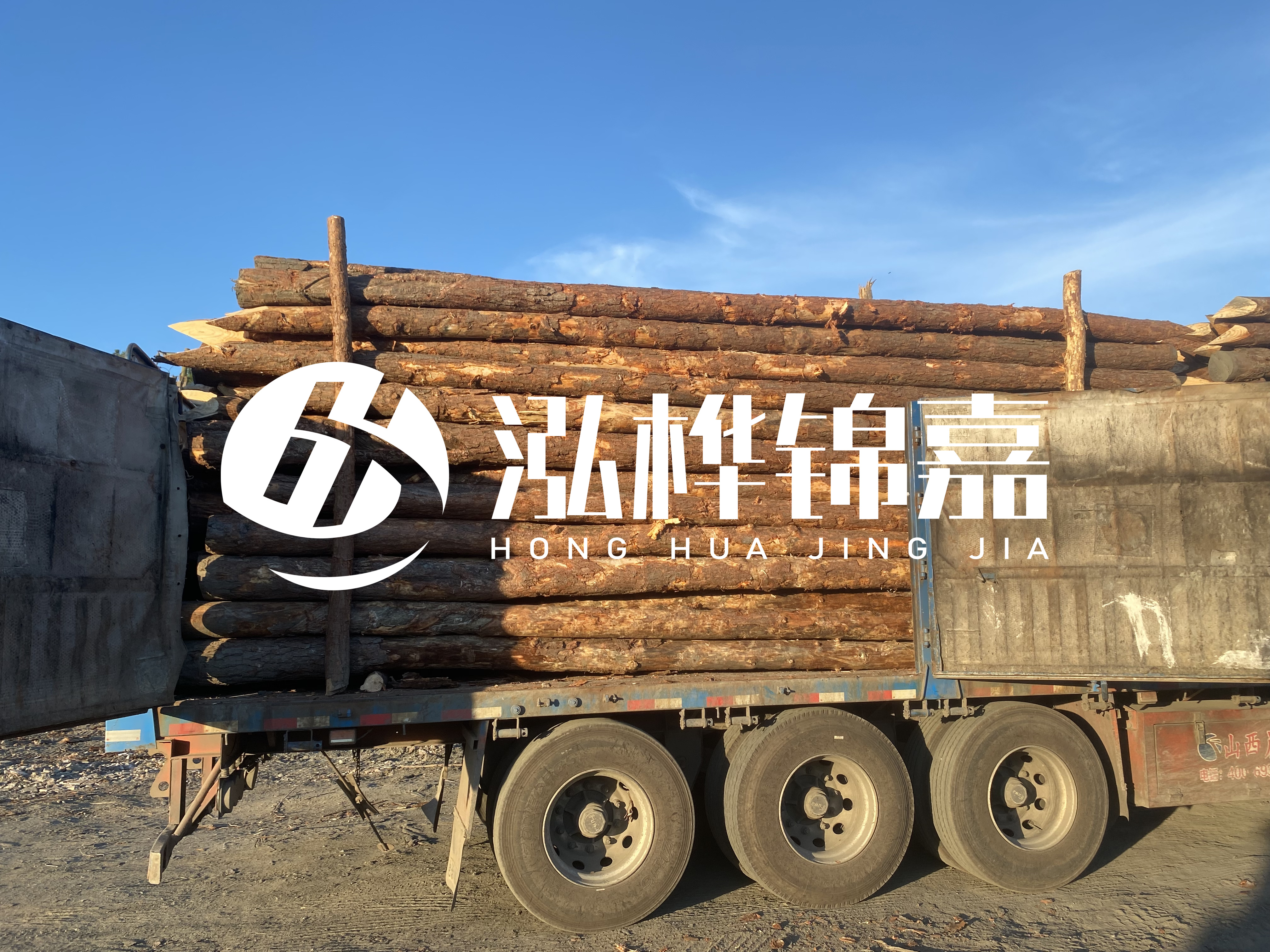 河道治理為什么要用松木樁?