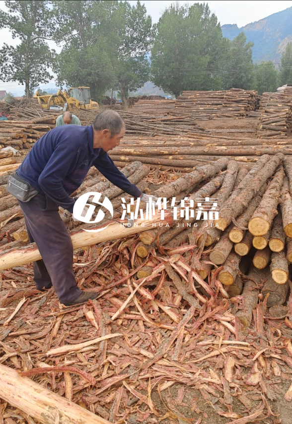 東營(yíng)河道清淤專業(yè)施工隊(duì)-不同型號(hào)挖機(jī)清淤能力對(duì)比？