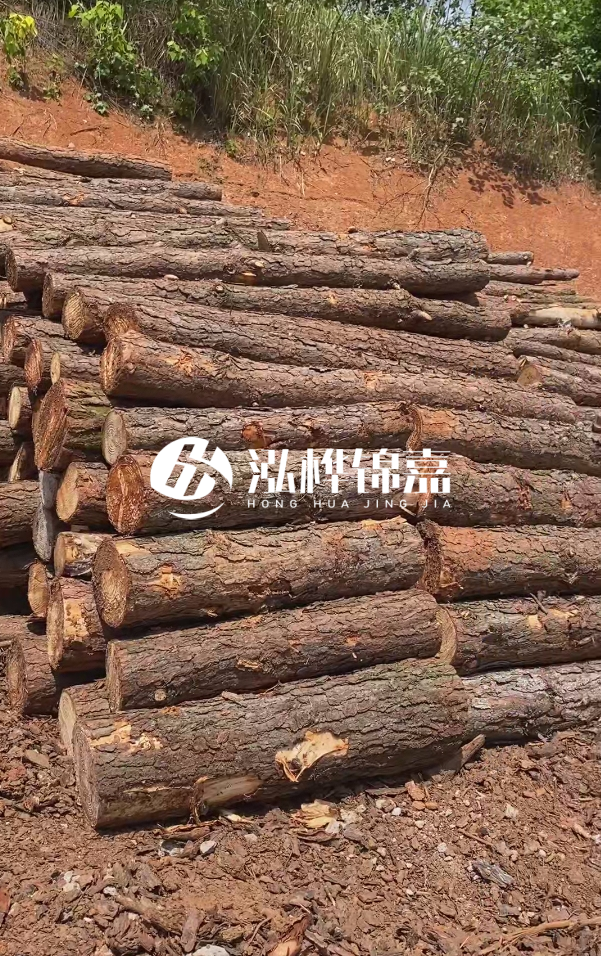 七臺河河道清淤專業施工-河道清淤的淤泥多久能干?