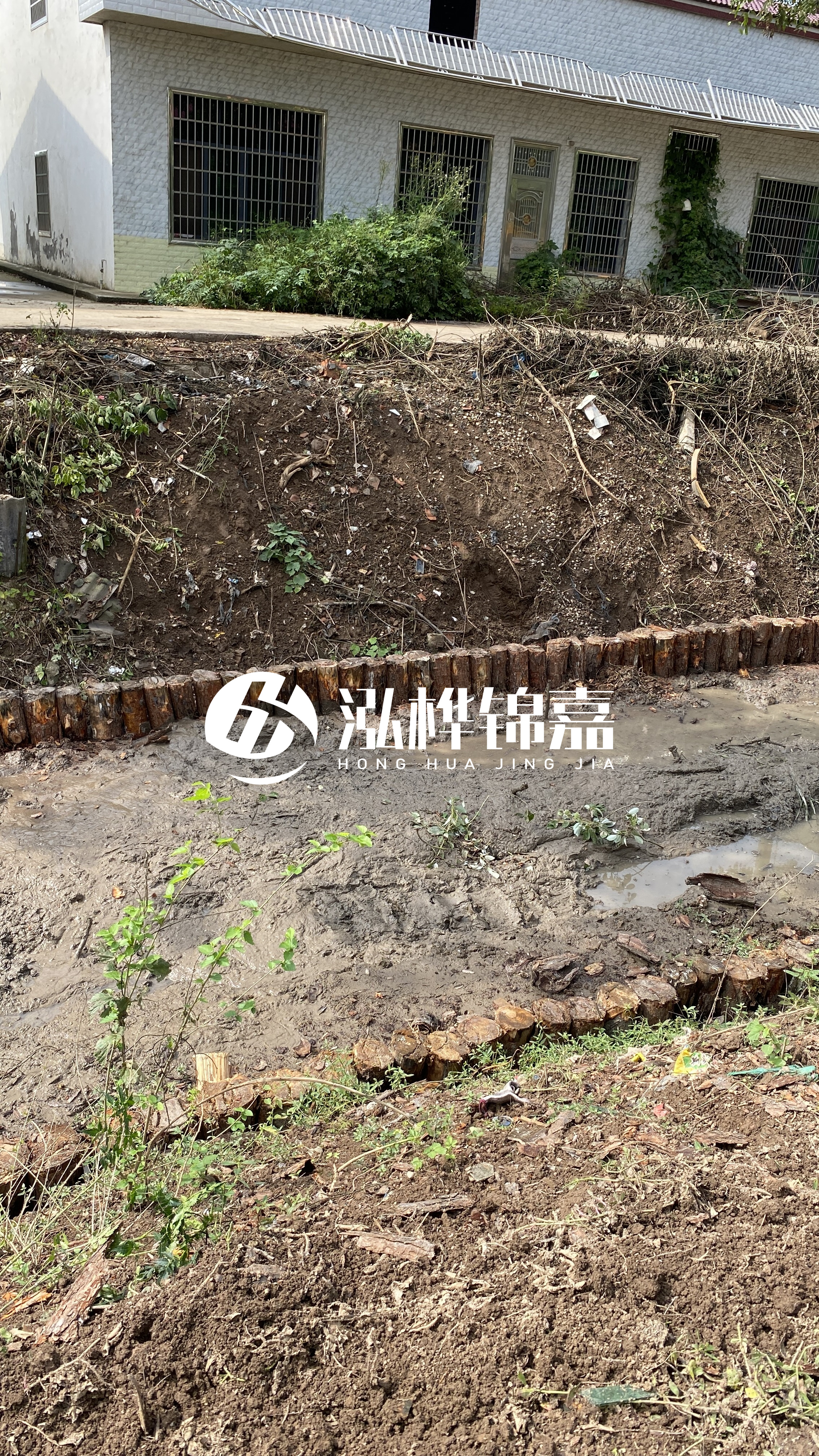 安慶挖機打木樁專業施工-松木樁作為打樁木有哪些優勢特點？