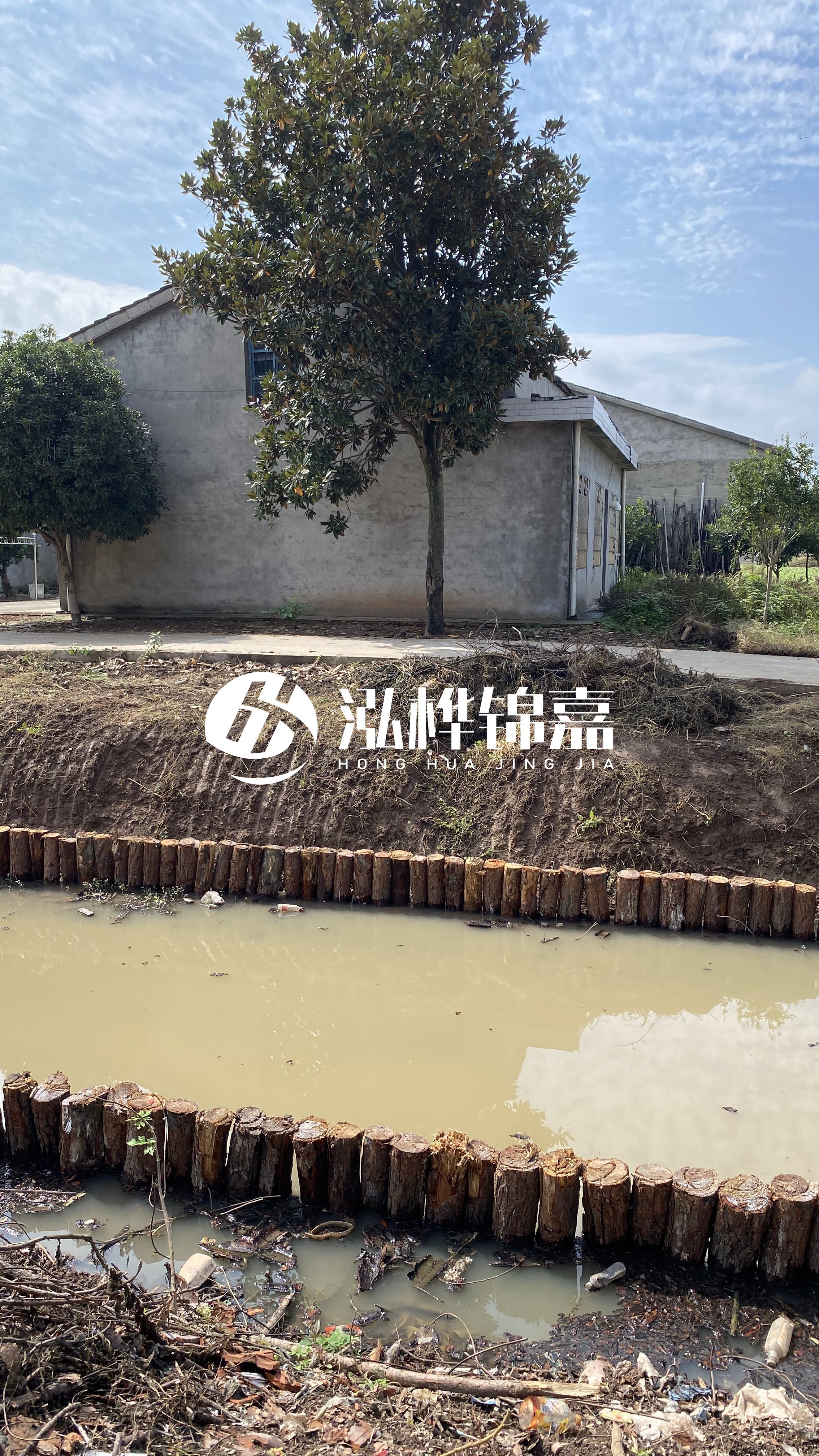 阜陽挖機打木樁專業施工-松木樁打樁木是否需要預先處理？