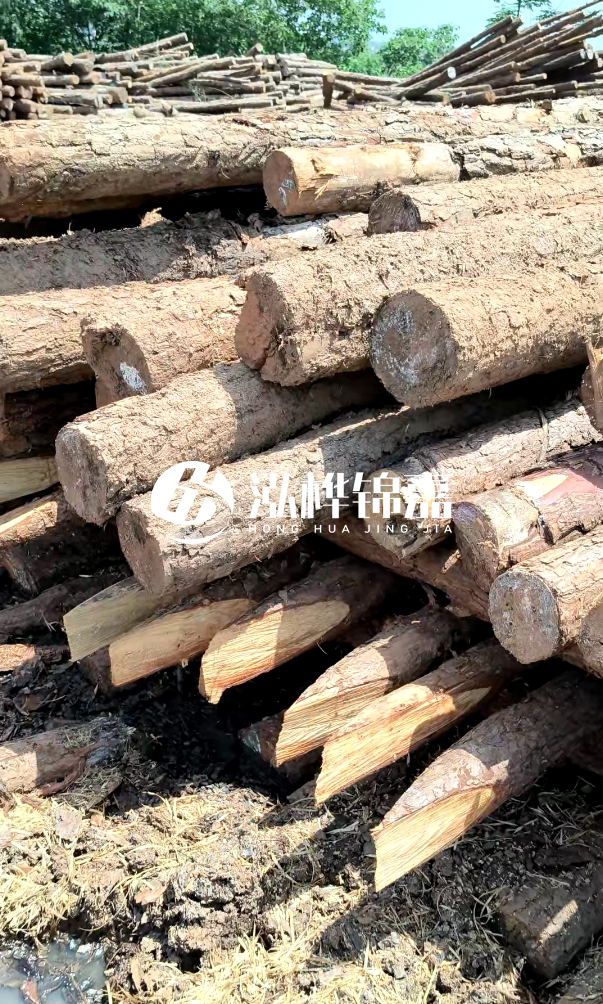 荊門挖機(jī)打木樁專業(yè)施工-河道打木樁前是否要清理河道底部雜物?