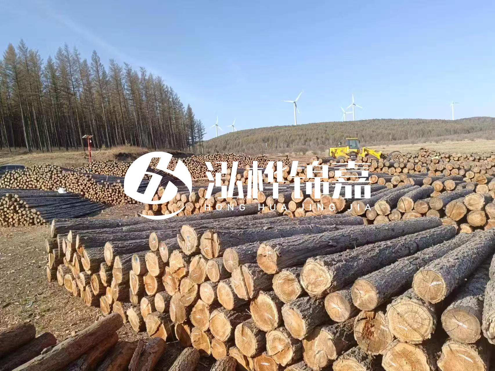 湘潭松木樁源頭廠家-松木樁與水泥樁的性價比對比如何？