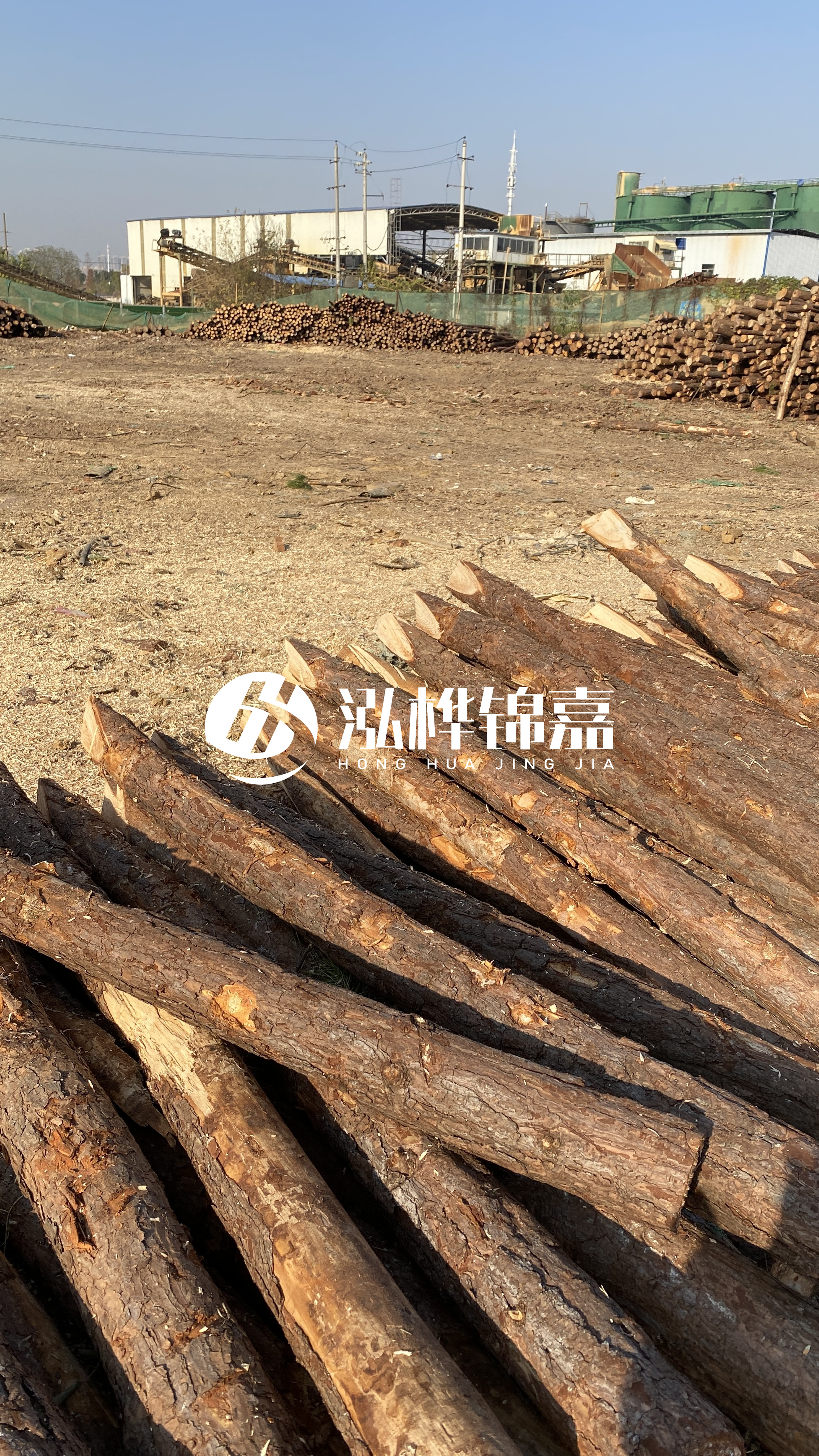 松木樁施工要找有資質(zhì)的嗎？松木樁施工背后門道多，看完就懂了！