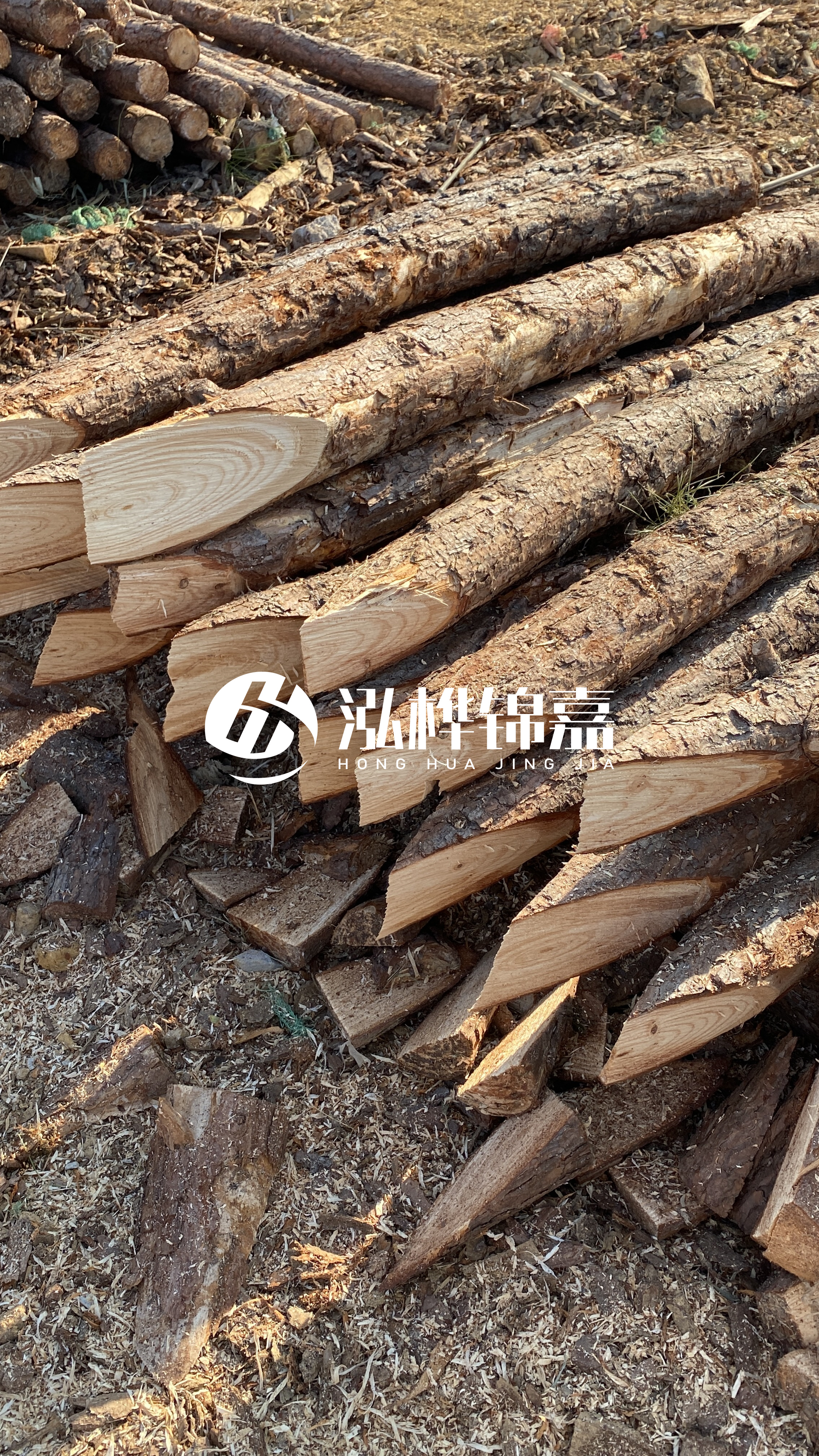 3米8公分松木樁價格是多少？市場最新報價大公開！