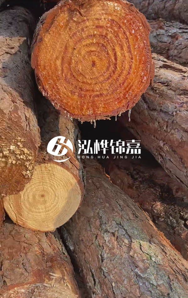 6米松木樁尾部11-14頭部多少？怎么算出來的？