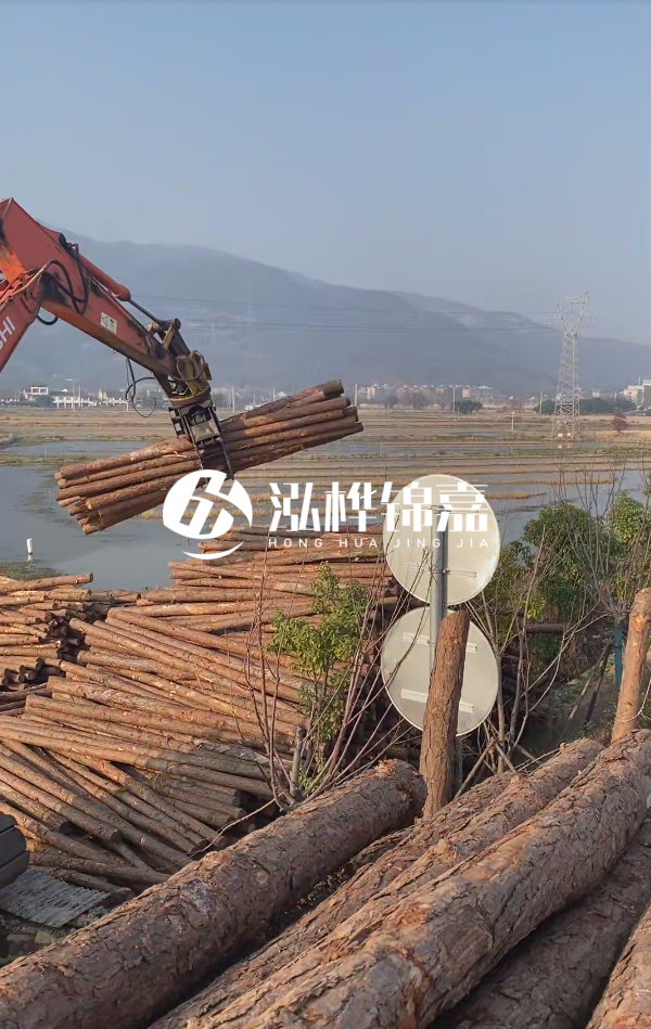 松木樁是否需要削皮呢？松木樁為什么不會(huì)爛掉呢？