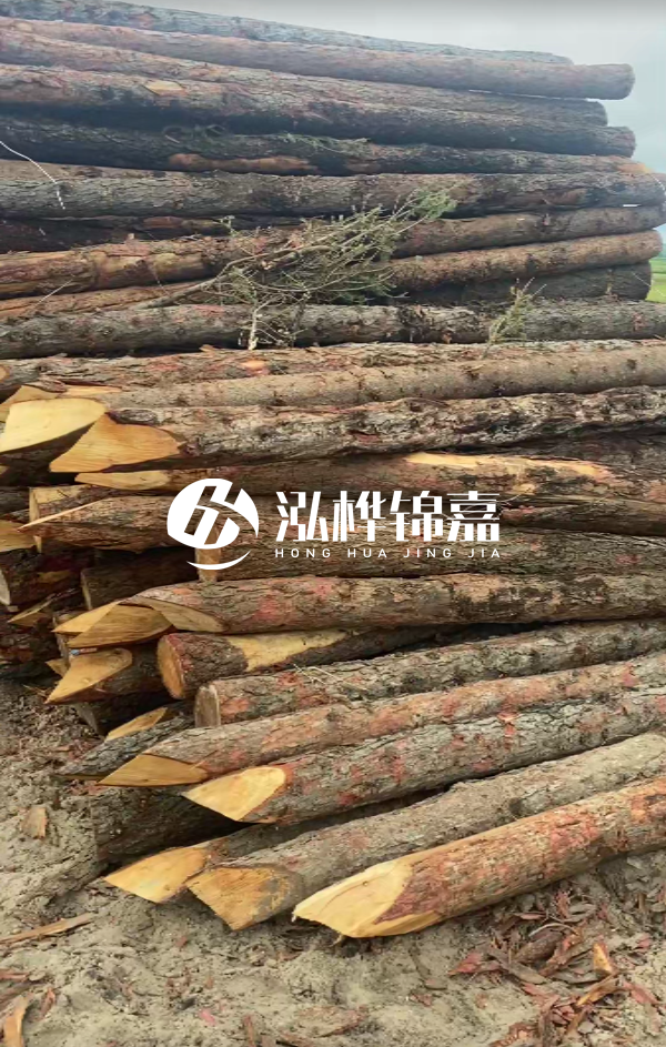 松木樁4米長尾徑14厘米價格是多少？一立方米有多少根？