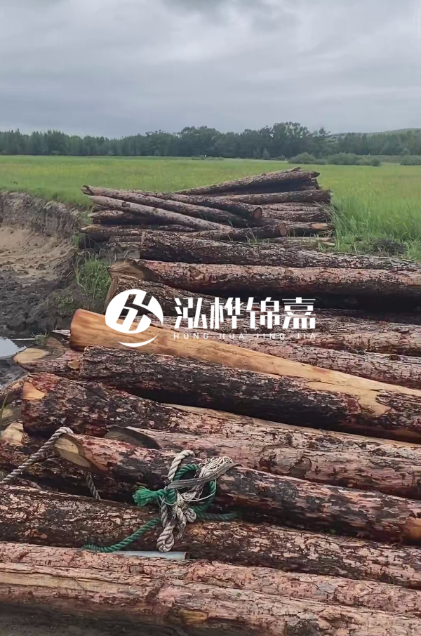 4米松木樁多少錢一根？松木樁預算單價怎么算的？