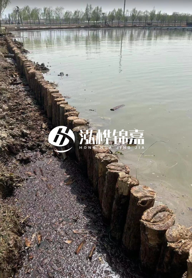 長沙松木樁批發市場在哪？廠家地址是多少？