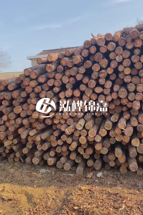 4米8-10公分松木樁大概多少錢一根？15公分價格又是多少？