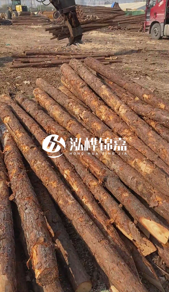 7米松木樁8一12公分價(jià)格?直徑15公分松木樁多少錢(qián)?