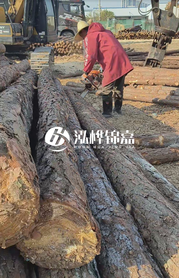 長沙打樁木批發廠家在哪里？聯系方式是什么？