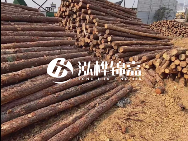 河道木樁施工遇到淤泥怎么辦?打多深才能防沖刷?