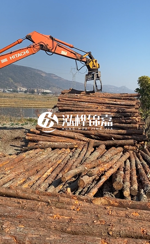 帶皮松木樁的防腐效果如何？和不帶皮松木樁價(jià)格差異有多大？