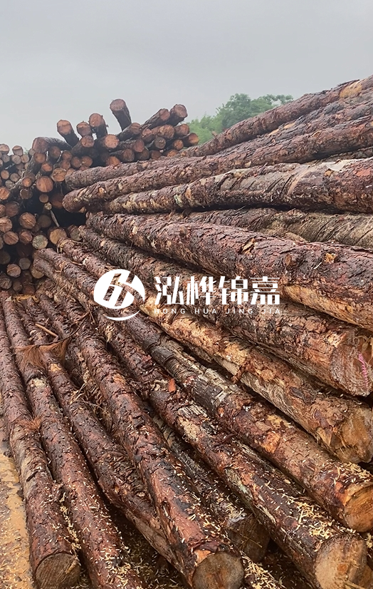 購買松木樁注意事項(xiàng)有哪些-不同直徑松木樁區(qū)別有哪些?