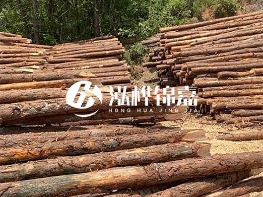 松木樁的運(yùn)輸費(fèi)用是否包含卸車費(fèi)?卸貨時(shí)需要注意哪些安全問題?