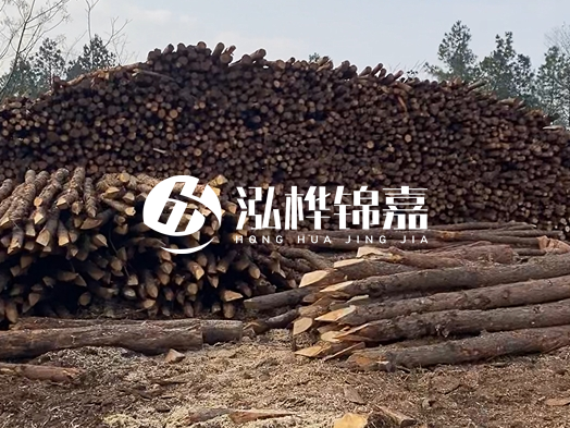 地基打木樁用什么木材 - 地基打木樁的能撐幾年?