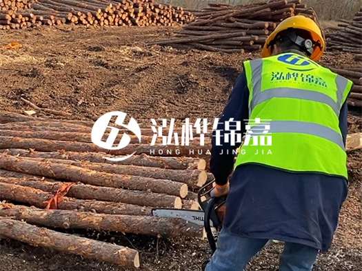 哪些木樁廠家能提供快速定制服務?哪些木樁廠家在國內有多個生產基地?