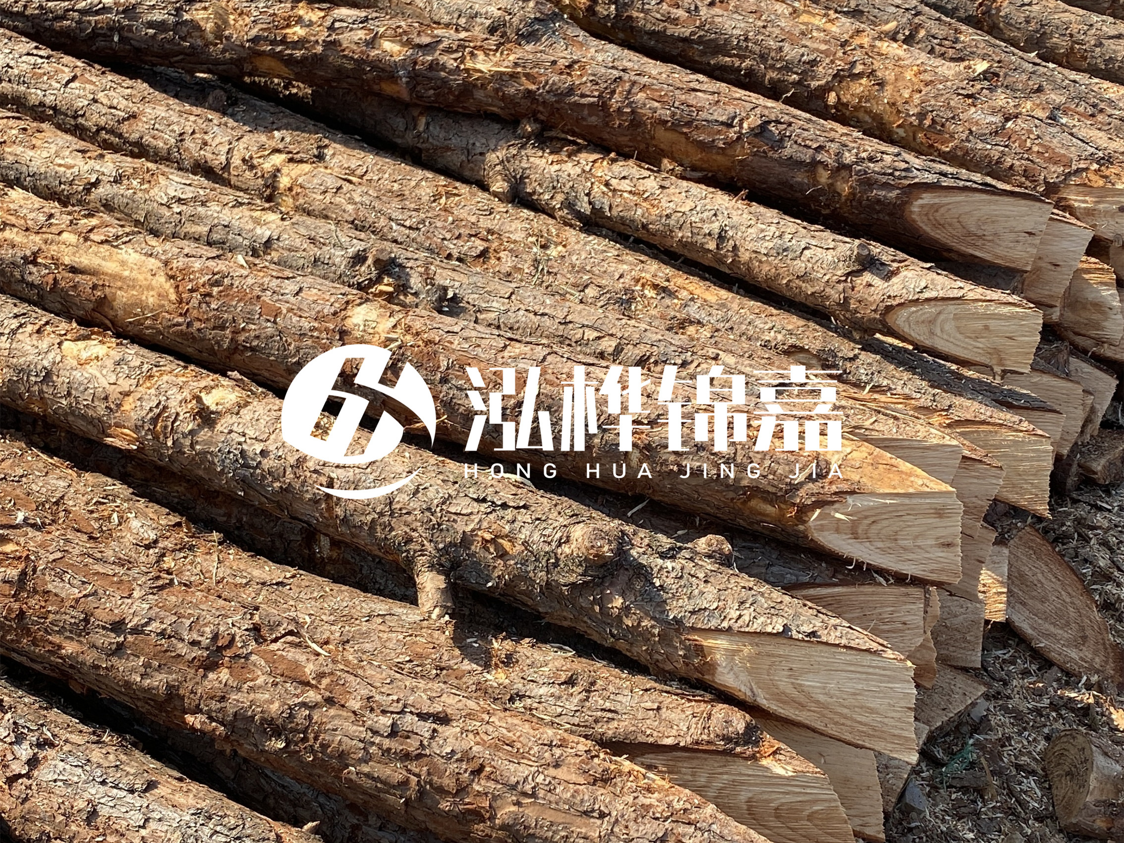 8 米超大直徑松木樁的價(jià)格是多少?帶皮和去皮松木樁價(jià)格差多少?