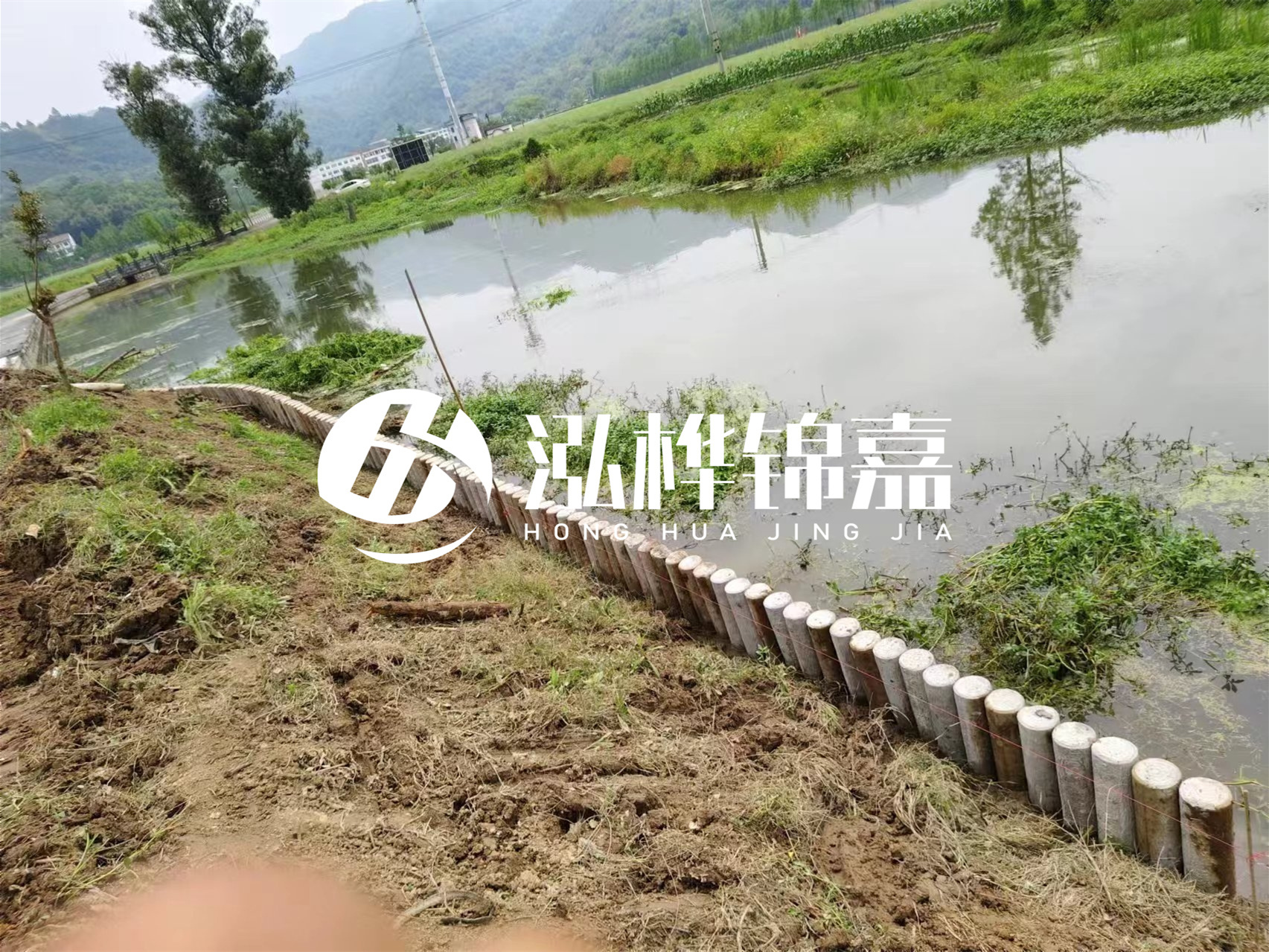 松木樁加固河道與水泥樁對(duì)比如何?哪一種更加適合您?