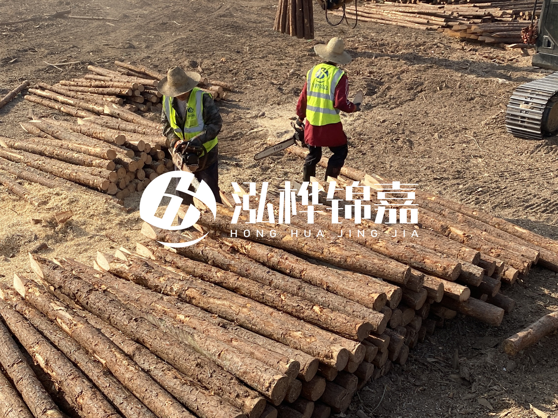 河道木樁報價在汛期前后會有波動嗎?什么時候買最便宜?