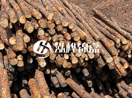 江西有哪些松木樁生產廠家?松木樁廠在什么位置?