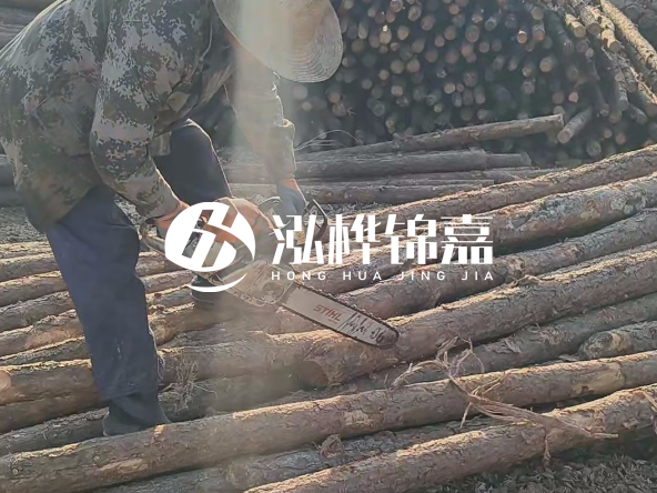 廣東打樁木源頭廠家泓樺錦嘉 - 如何選擇適合特定邊坡的松木樁?