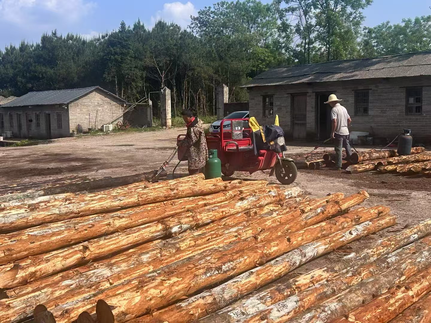 松木樁施工隊泓樺錦嘉 - 建房子地基打木樁靠譜嗎？