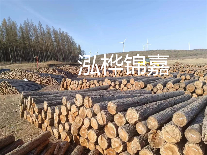 用路基松木樁施工方案提升工程質(zhì)量描述：了解路基松木樁施工方案的重要性，提高工程質(zhì)量關(guān)鍵詞：路基松木樁，施工方案，工程質(zhì)量